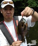 7.26_3gill.jpg